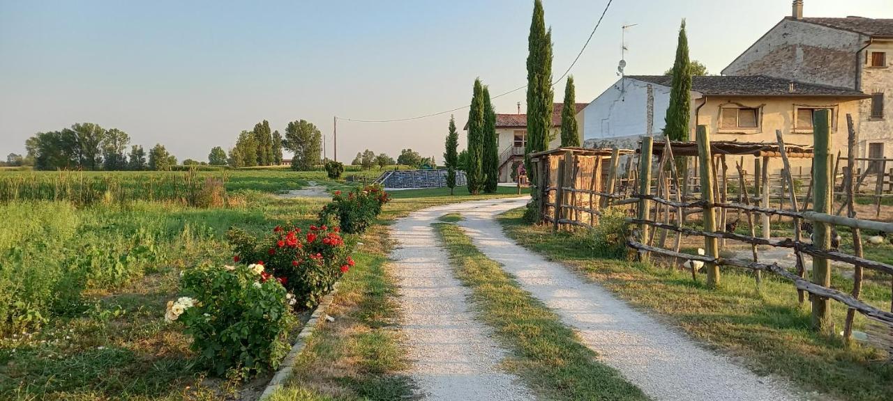 San Pietro B&B App 5 Castel Goffredo Exteriér fotografie